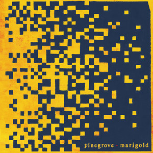 Marigold album