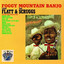 Foggy Mountain Banjo cover