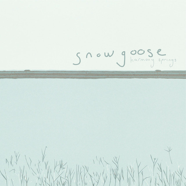 Snowgoose Photo