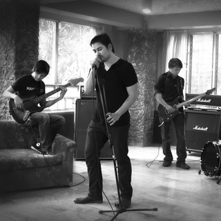 Shamrock Photo