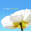 Love Songs cover