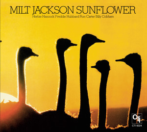 Sunflower cover