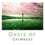 Oasis of Calmness – Lounge Summer, Beach Music, Pure Relaxation, Summer Chill, Sunrise, Calm Waves, Inner Harmony cover