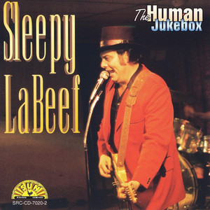The Human Jukebox cover