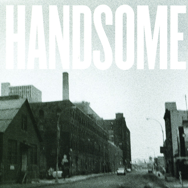Handsome cover