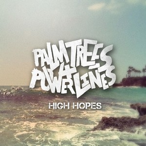 Palm Trees & Power Lines