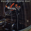 Silver Star cover