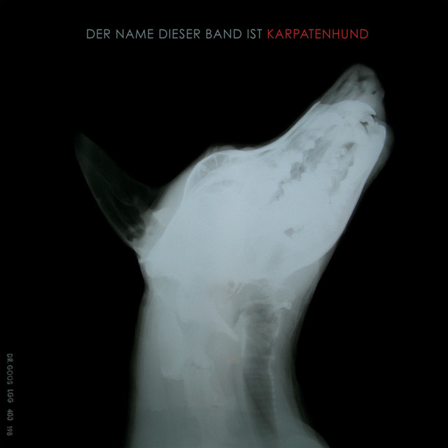 Der Name Dieser Band Ist Karpatenhund cover