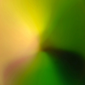 Reflection Eternal cover