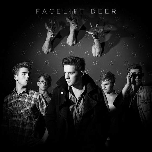 Facelift Deer Photo