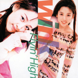 Flyin' High cover