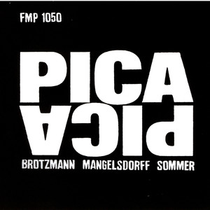 Pica Pica cover