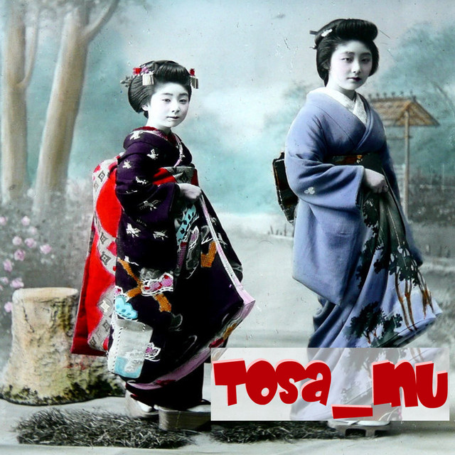 Tosa Inu Photo
