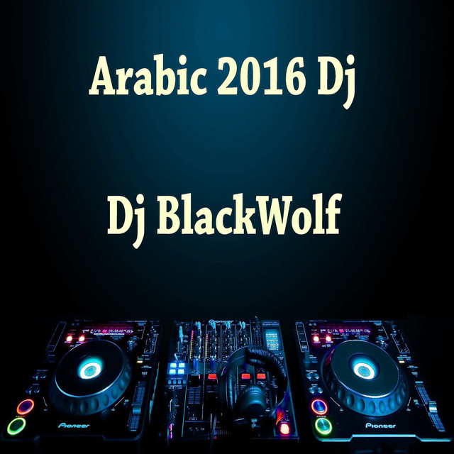 BlackWolf Photo