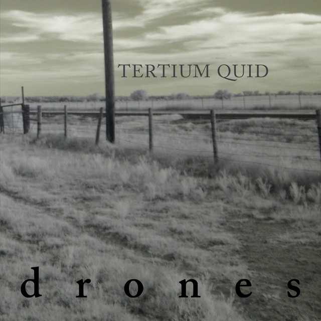 Tertium Quid Photo