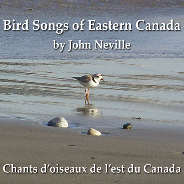 John Neville Photo