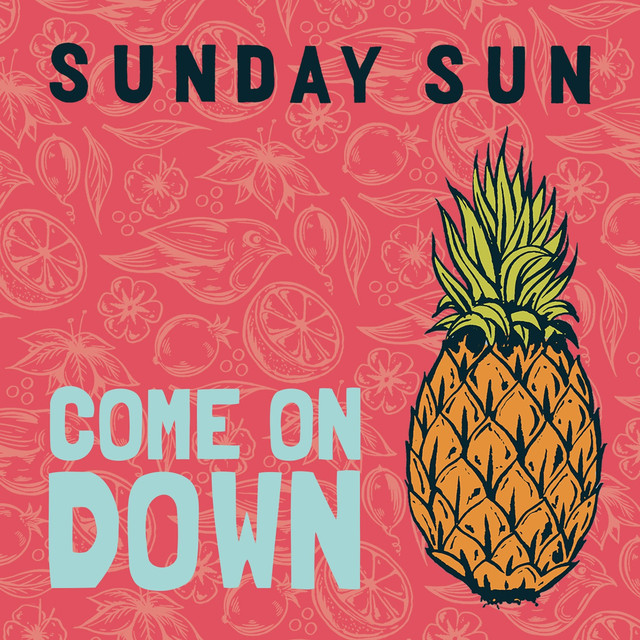 Come On Down (radio Edit) cover