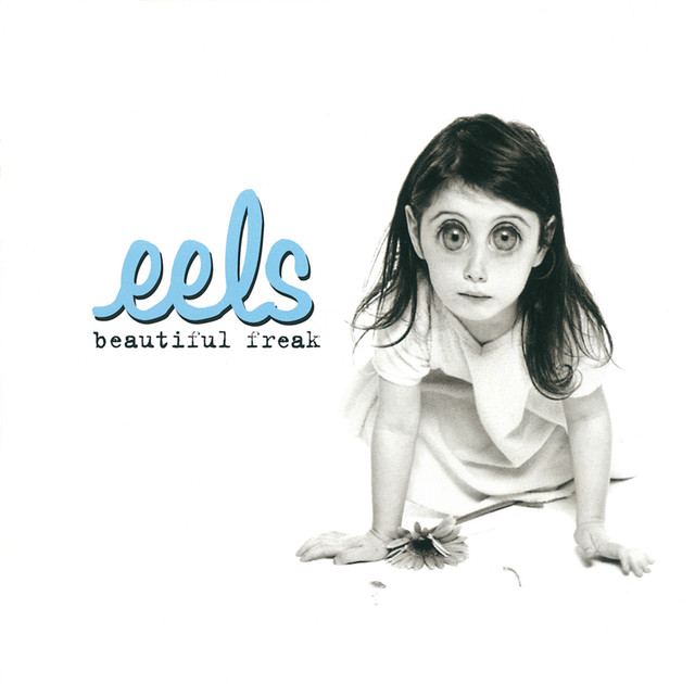 Beautiful Freak cover