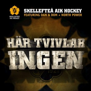 Skellefte&aring; AIK Hockey