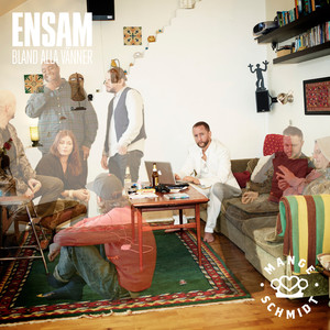 Ensam bland alla vänner cover