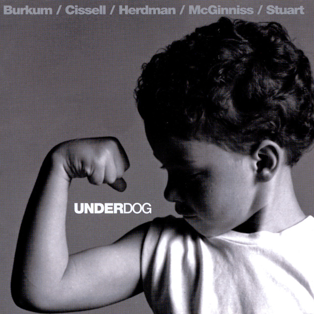 Underdog cover