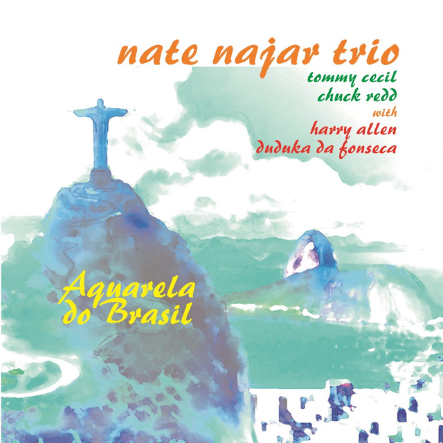 The Nate Najar Trio Photo