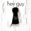 Hey Guy Albumcover
