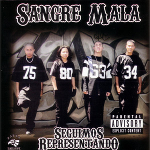 Seguimos Representando Albumcover