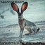 Scratched By The Rabbit Albumcover
