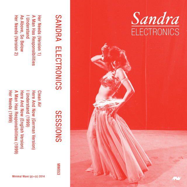 Sandra Electronics Photo