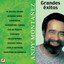 Grandes Exitos Andy Montañez cover