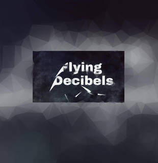 Flying Decibels Photo