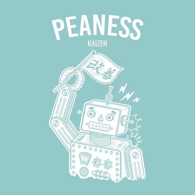 Kaizen cover