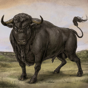 San Fermin cover