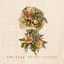 Bright Shadow cover