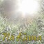 E Ola Ke Ali'i: The Na Kama Christmas Collection - Volume 1 Albumcover