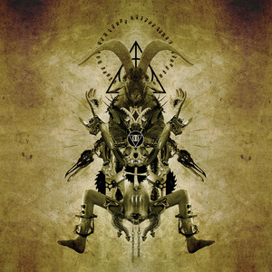 Calm Morbidity cover