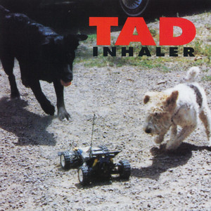 Inhaler cover