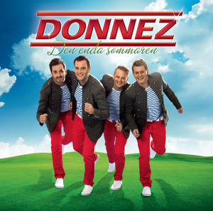 Den enda sommaren cover