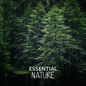 45 Essential Nature album