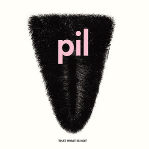 That What Is Not (2011 - Remaster) album