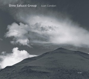 Dino Saluzzi Group