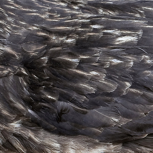 Árstíðir cover