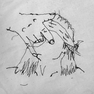 Microphyst Photo
