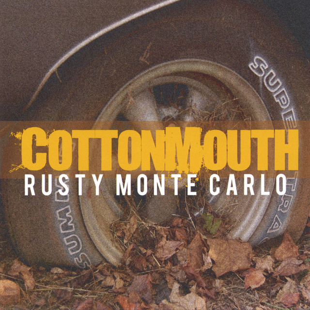 Cottonmouth Photo