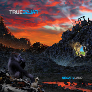 True False cover