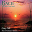 Bach With Nature's Ocean Sounds Albumcover