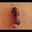 The Quixotics Albumcover