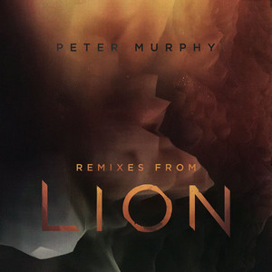 Remixes from Lion album