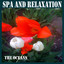 Spa and Relaxation Albumcover